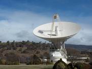 The main dish at Tidbinbilla.