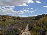 South-facing view of Chaco Canyon