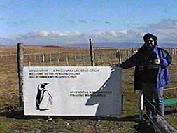 mark at the penguin sign