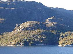 fjord with trees
