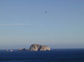 Falklands rock